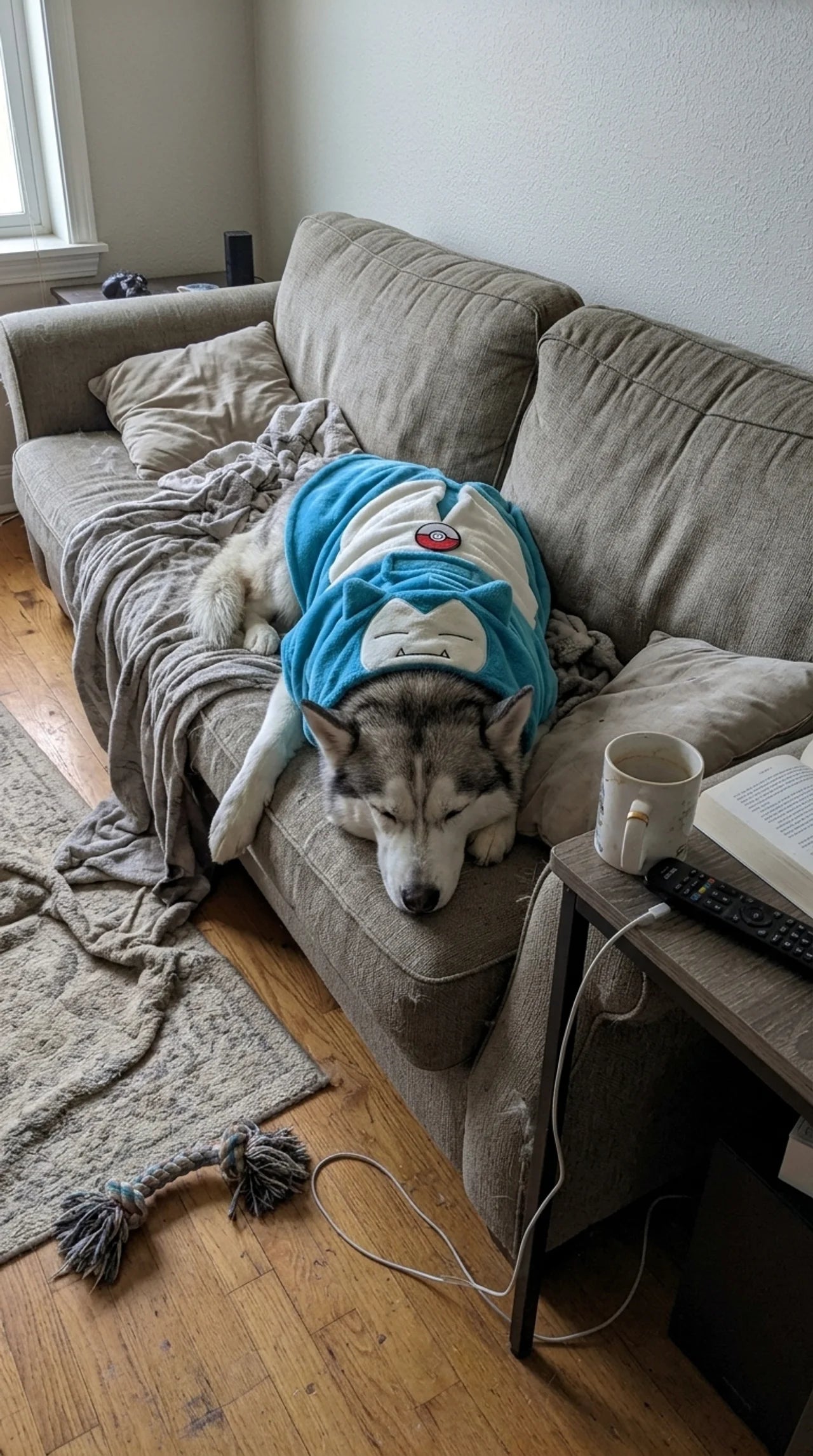 Pokemon Pet Onsies